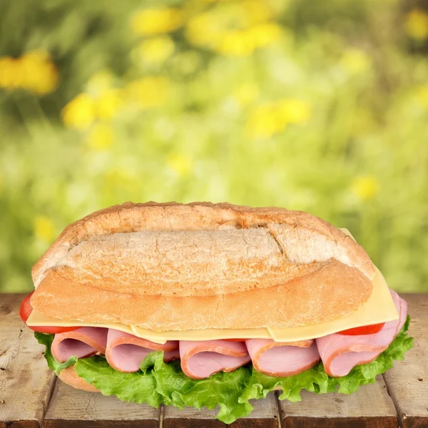 Sandwich, Ciabatta, szynka. — Zdjęcie stockowe