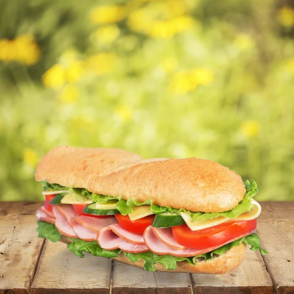 Sandviç, ekmek, alt. — Stok fotoğraf