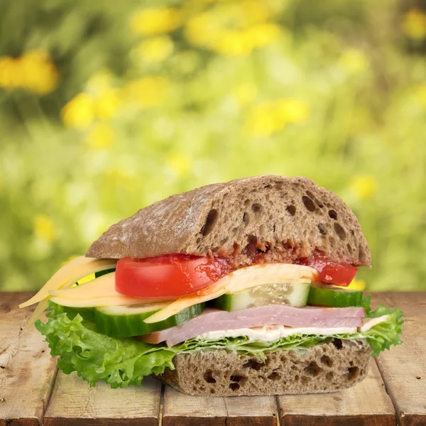 Sandwich, Panini, rundvlees. — Stockfoto