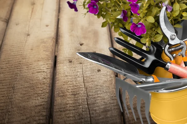 Giardinaggio, Attrezzatura Di Giardinaggio, Isolato . — Foto Stock