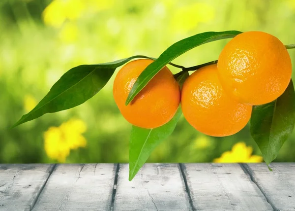 Orange, Branch, Fruit. — Stock Photo, Image