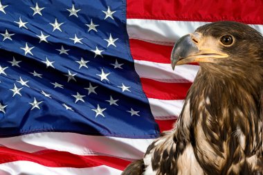 Amerikan bayrağı, bayrak, arka planlar.