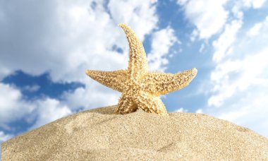 Cancun, plaj, Meksika.