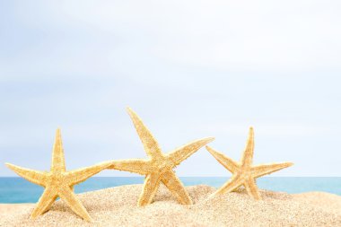 Arka plan, plaj, Karayipler.