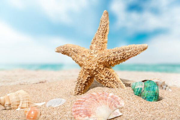 Путешествия, кариатида, пляж
.