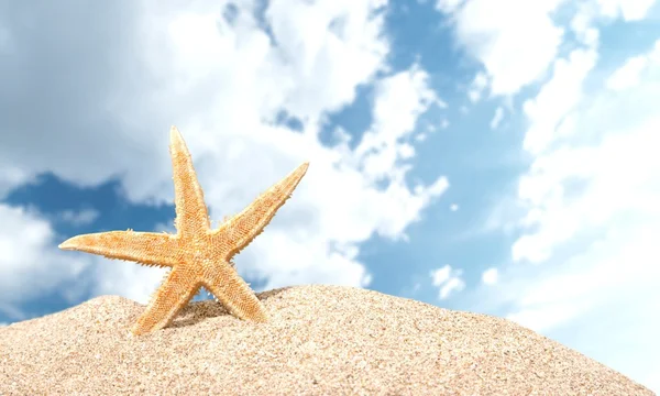 Playa, estrella de mar, Caribe . — Foto de Stock