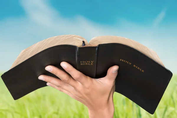 Streszczenie, Biblia, czarny. — Zdjęcie stockowe