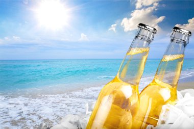 Bira, bira şişesi, buz.
