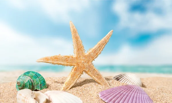 Verão, caribe, feriado . — Fotografia de Stock