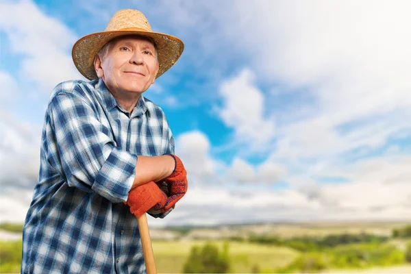 Gartenarbeit, Senioren, Männer. — Stockfoto