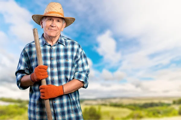 Gardening, Senior Adult, Men. — Stock Photo, Image