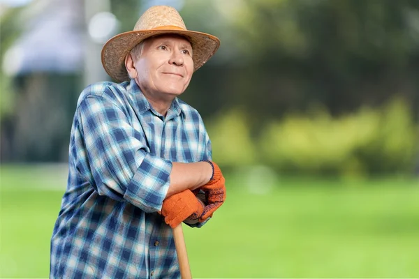 Gartenarbeit, Senioren, Männer. — Stockfoto