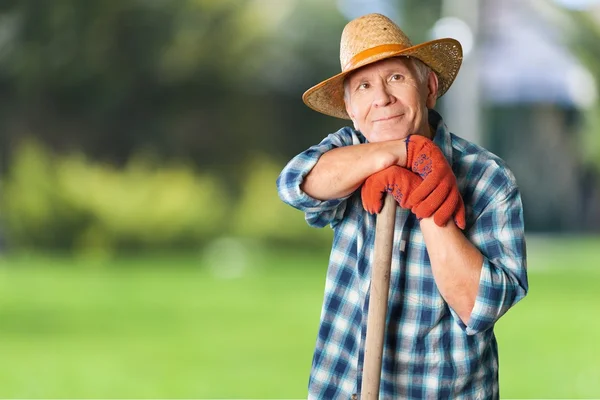 Jardinagem, Adulto Sênior, Homens . — Fotografia de Stock