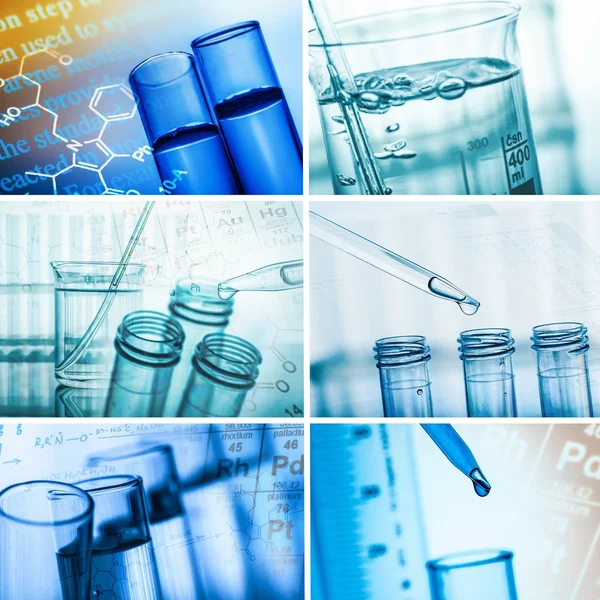 Agriculture, Laboratory, Scientific Experiment. — Stock Photo, Image