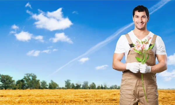 Agricultor, pala, aislado . —  Fotos de Stock