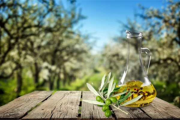 Оливкова, оливкової гілки, листя. — стокове фото
