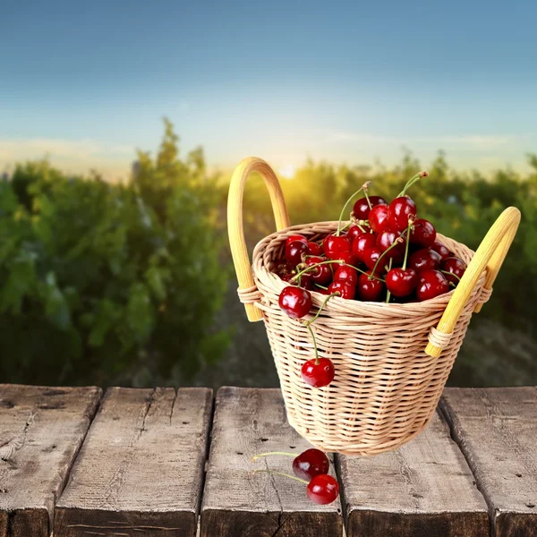 Cereja, Frutas, Vermelho . — Fotografia de Stock