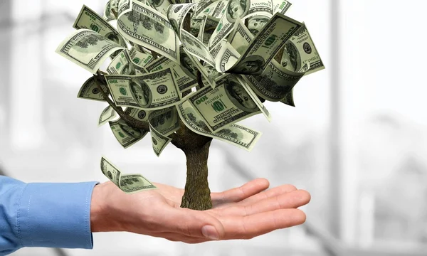 Money Tree, Currency, Growth. — Stock Image Money Tree, Currency, Growth. Stock Picture