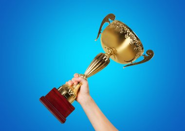 Kazanan, Başarı Ödülü,.