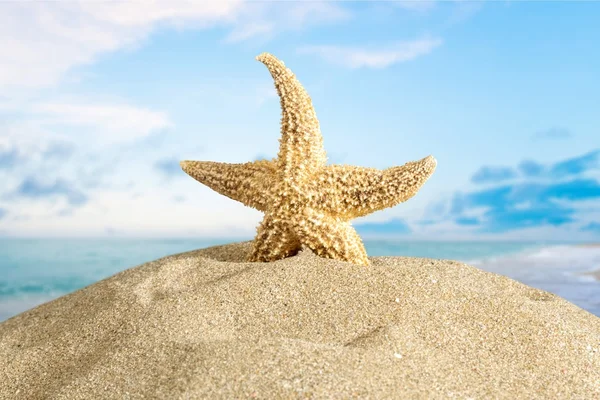 Cancun, Strand, Mexiko. — Stockfoto