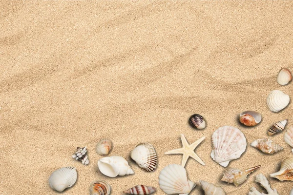 Shell, Beach, kum.