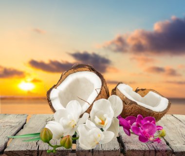 Hindistan cevizi, tropikal iklim, çiçek.