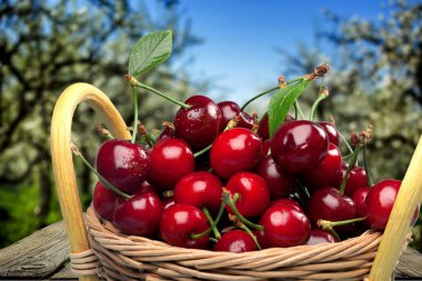 Kiraz, sepeti, meyve.