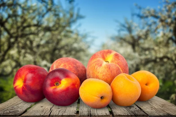 Perziken, abrikoos, Fruit. — Stockfoto