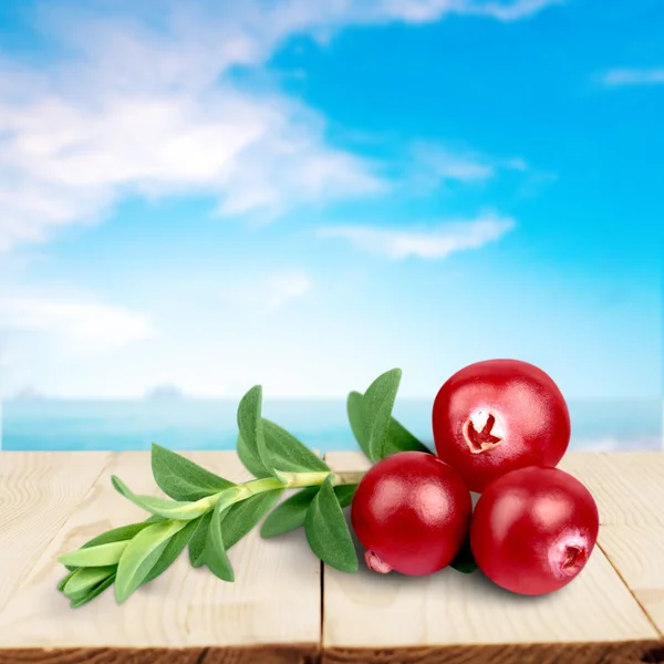 Cranberry, Fruta, Isolado . — Fotografia de Stock