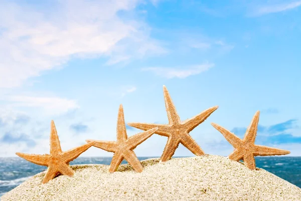 Морские звезды, океан, пляж . — стоковое фото