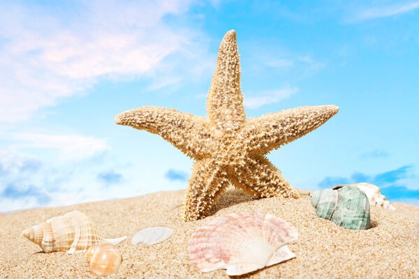 Лето, кариатида, отпуск
.