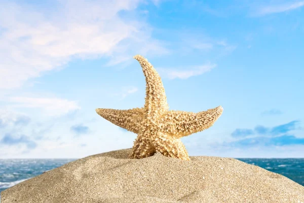 Cancun, Strand, Mexiko. — Stockfoto