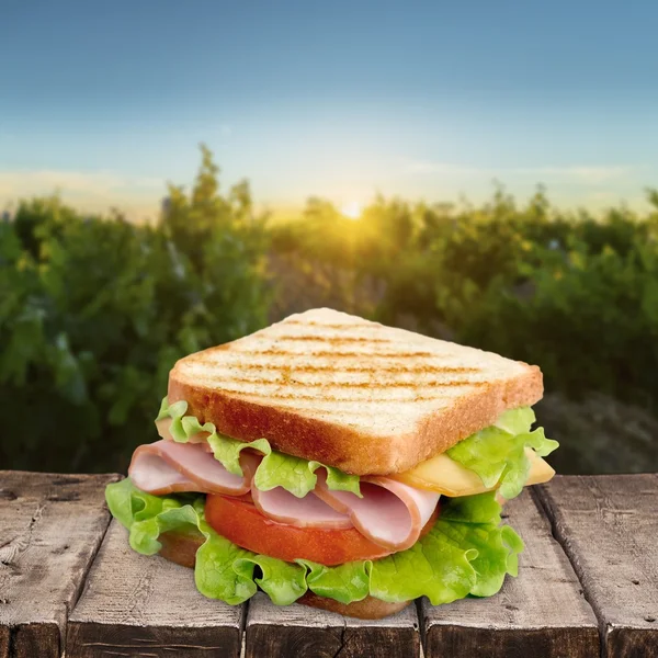 Sandwich, brood, geroosterd. — Stockfoto