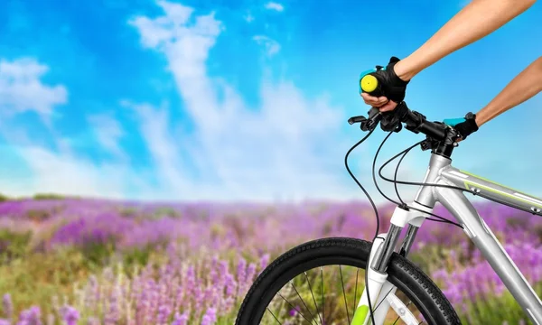 Bicycle, Cycling, Mountain Bike. — Stock Photo, Image