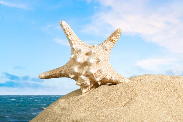 Cancun, beach, mexico. — Stock Photo, Image