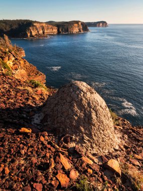 NSW Central Coast 'taki Bouddi Ulusal Parkı' nda sabahın erken saatlerinde.