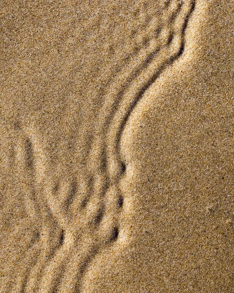 Patterns Sand Beach — Stock Photo, Image
