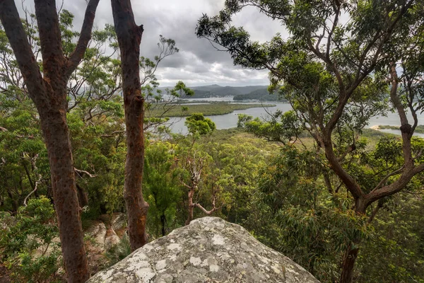 Vista Panorámica Desde Las Rocas Detrás Los Árboles — Foto de Stock