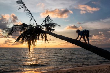 Çocuk gün batımında palmiye ağacına tırmanıyor.