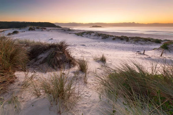 Tidigt Morgonen Ljus Från Sanddynerna Stranden — Stockfoto