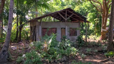 Çalıları ve ağaçları olan bir ev.