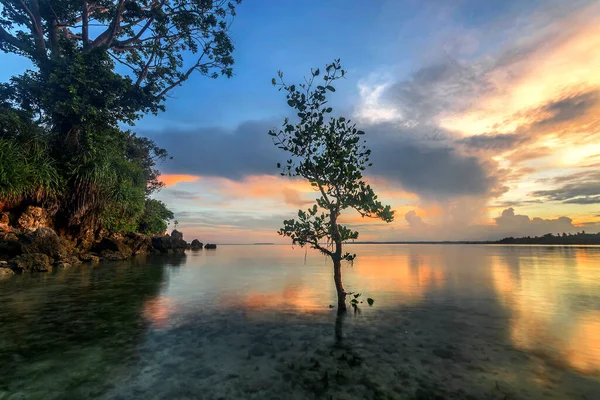 Ein Sonnenuntergang Über Einem Gewässer Mit Baum — Stockfoto