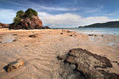 Bir su kütlesinin yanında kayalık bir plaj.