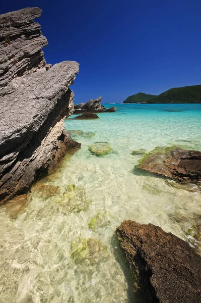 Närbild Klippa Nära Havet — Stockfoto