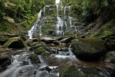 Nelson Tazmanya 'da Şelale Şelalesi