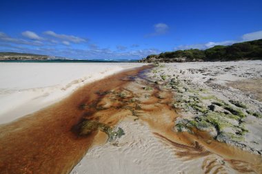 Beyaz kumlu sahilde çamurlu bir dere 