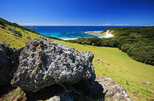 Een Uitzicht Een Rotsachtige Heuvel Lord Howe Eiland — Stockfoto