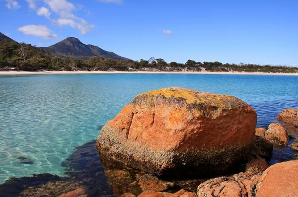 Stenig Strand Intill Vattenförekomst Tasmanien — Stockfoto