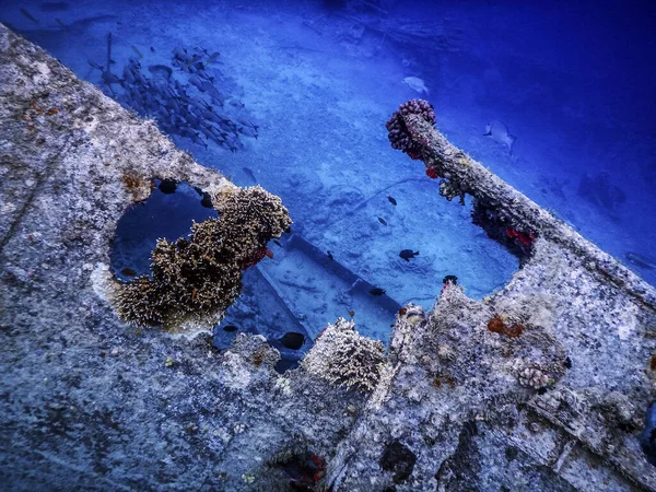 Naufrage Sous Eau Sur Île Santo Vanuatu — Photo