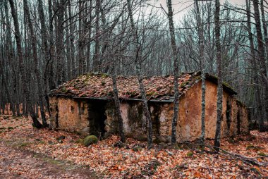 Ormandaki ıssız taştan ev.